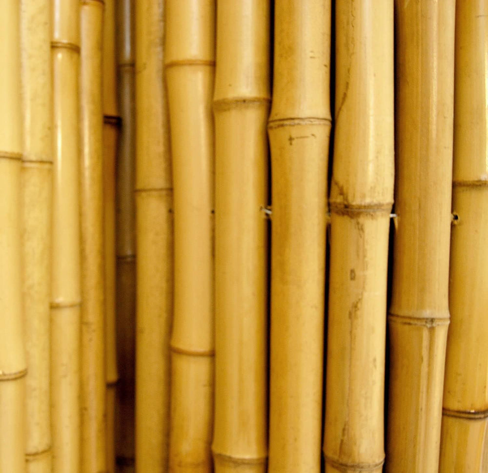 FOREVER BAMBOO Natural Bamboo Fencing Decorative Rolled Fence Panel 1 in D x ...