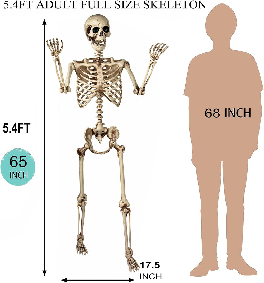Aimeiar 5.4 Ft Halloween Skeleton Life Size, Posable Skeletons Decor, Full Bo...