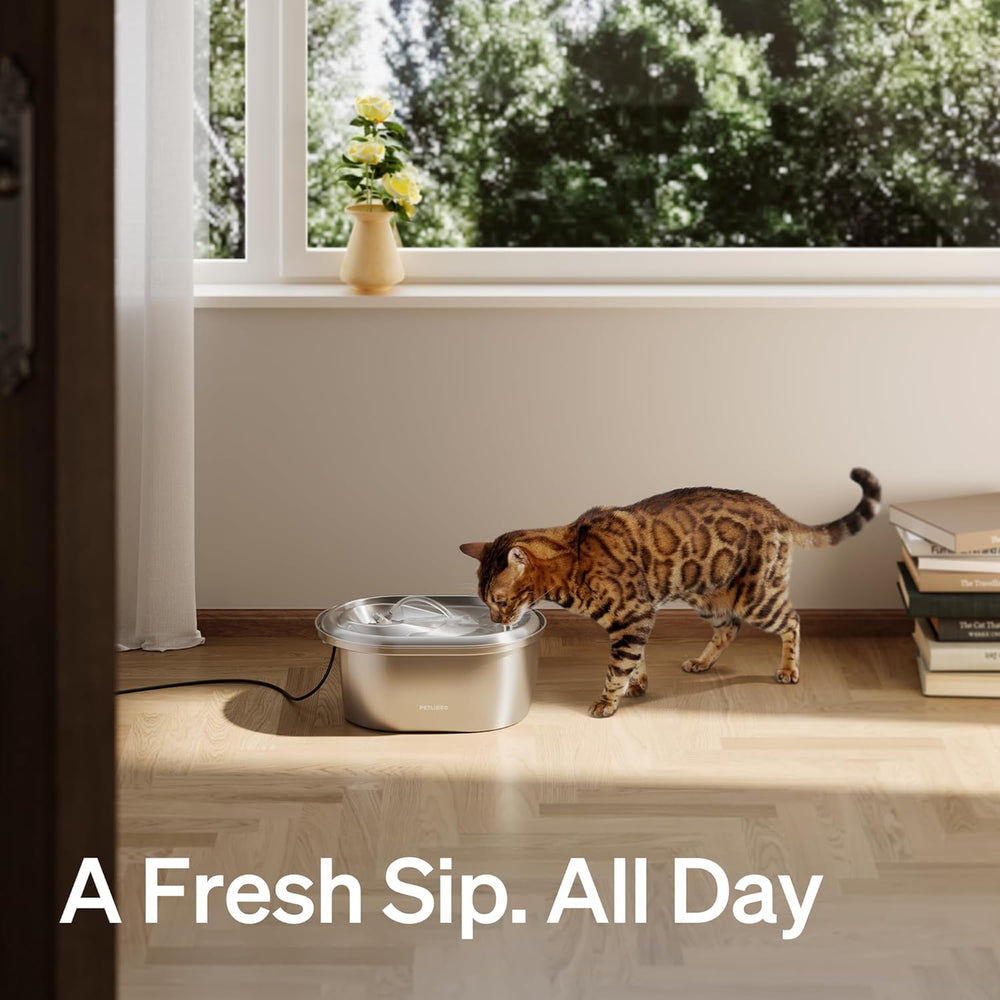 PETLIBRO Stainless Steel Cat Water Fountain, 101oz/3L Automatic Water Dispens...