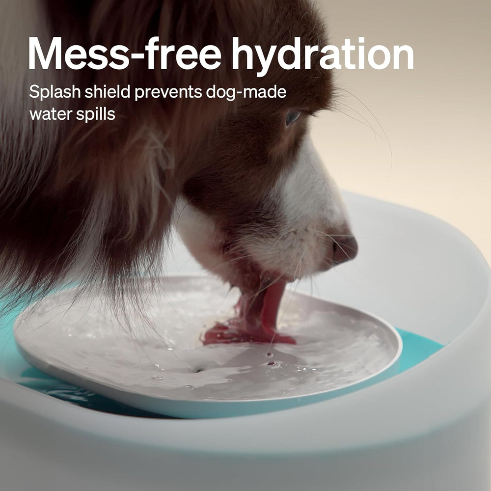 PETLIBRO 2.1Gal/8L Dog Water Fountain for Large Dog, Anti-Splash Dog Water Bo...