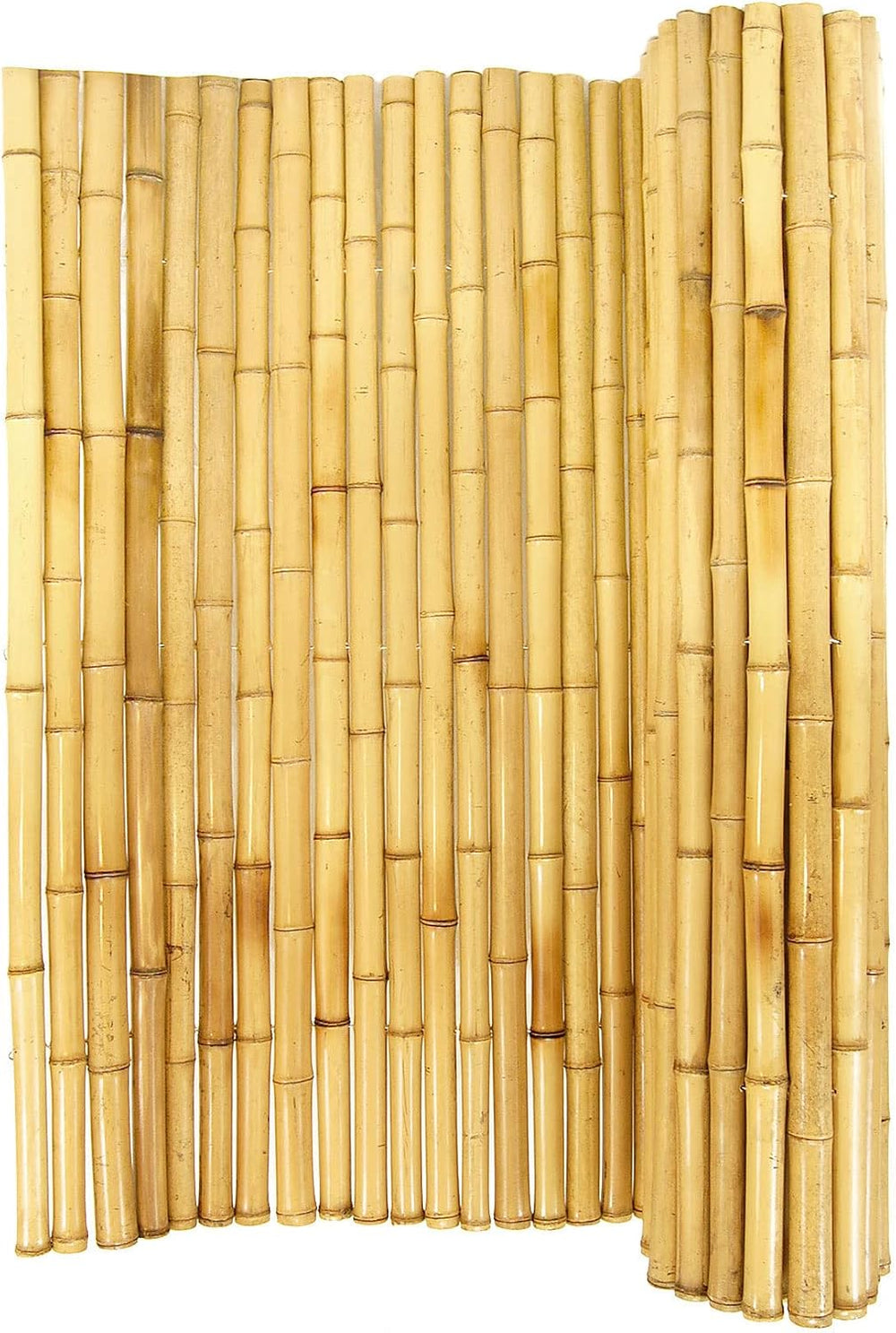 FOREVER BAMBOO Natural Bamboo Fencing Decorative Rolled Fence Panel 1 in D x ...