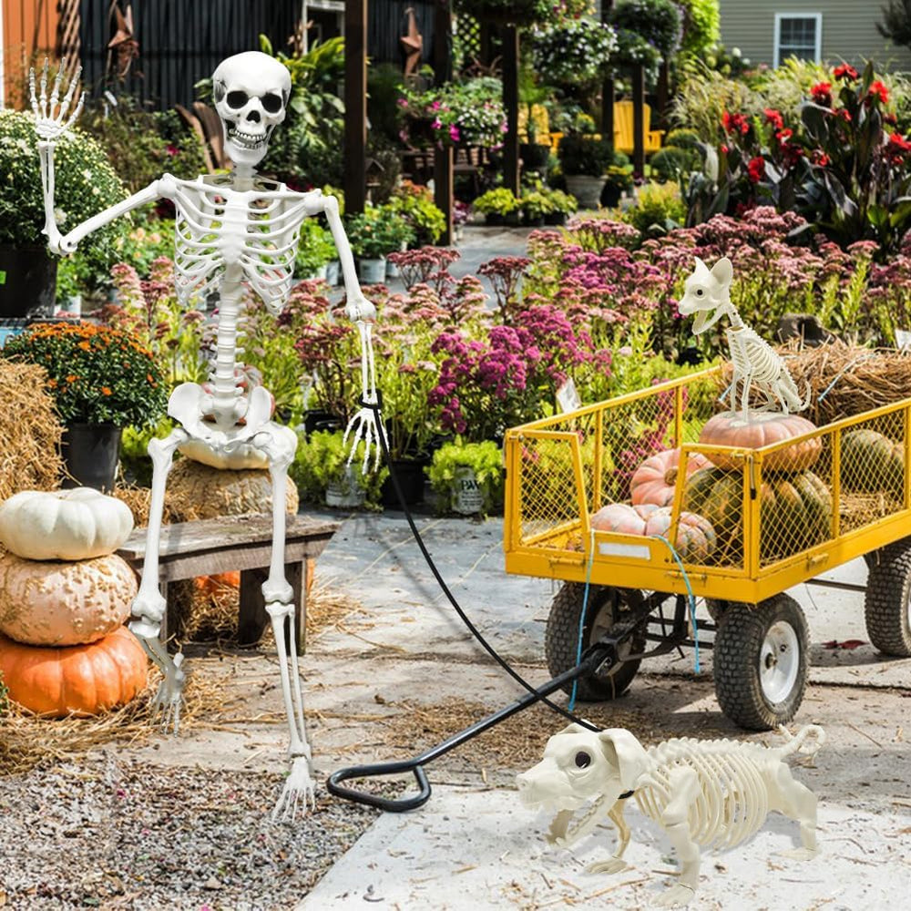 5.4ft Halloween Full Size Skeleton with Dog Cat for Haunted Party Decor