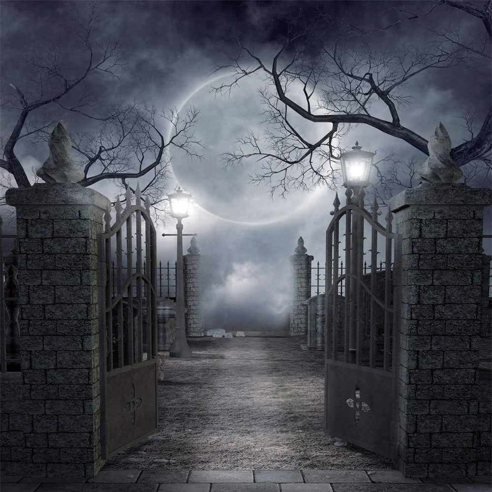 Halloween Backdrop Vinyl Photo Background Halloween Photography Backdrop Moon...