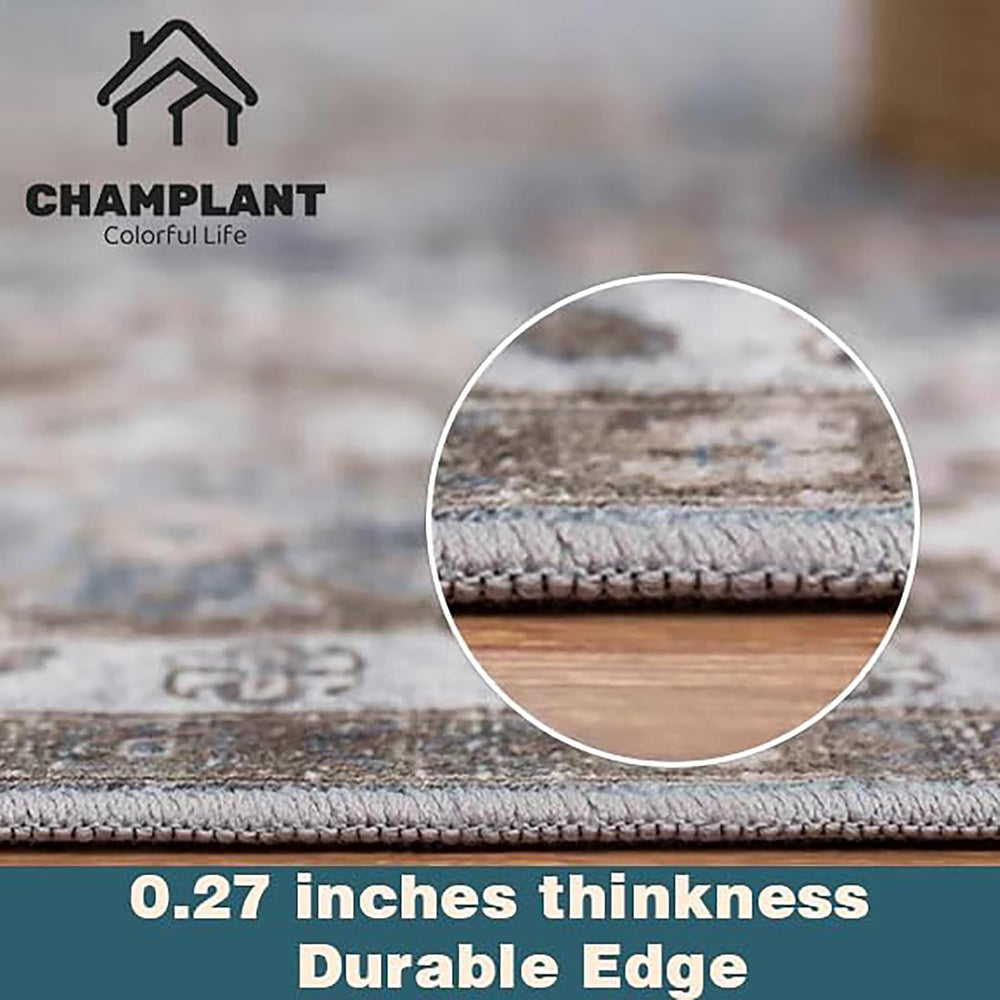 CHAMPLANT Washable Area Rug 4'x6' Traditional Floor Cover Foldable Th...