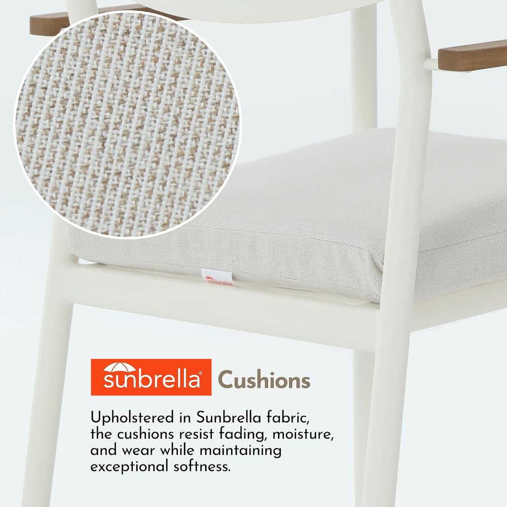 Modern Shade Luxury Outdoor Dining Chairs Set of 4, Fade Resistant, All-Alumi...