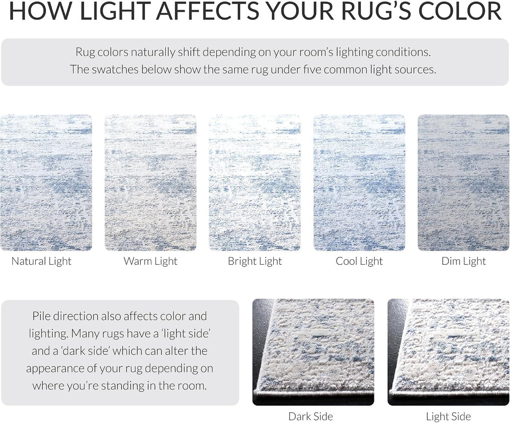 SAFAVIEH Amelia Collection Area Rug - 6' x 9', Ivory & Blue, Mode...