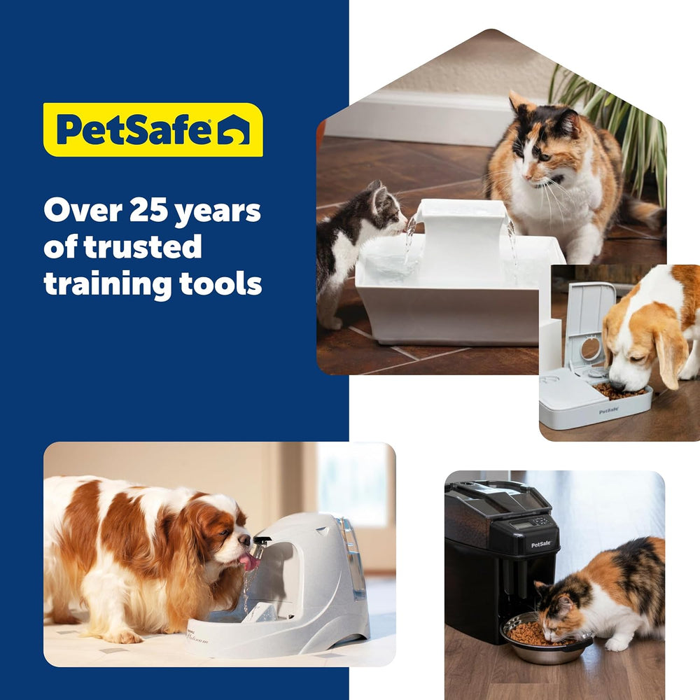 PetSafe Ceramic Pet Fountain – for Cats and Small Dogs – 60 Oz Water Capacity...