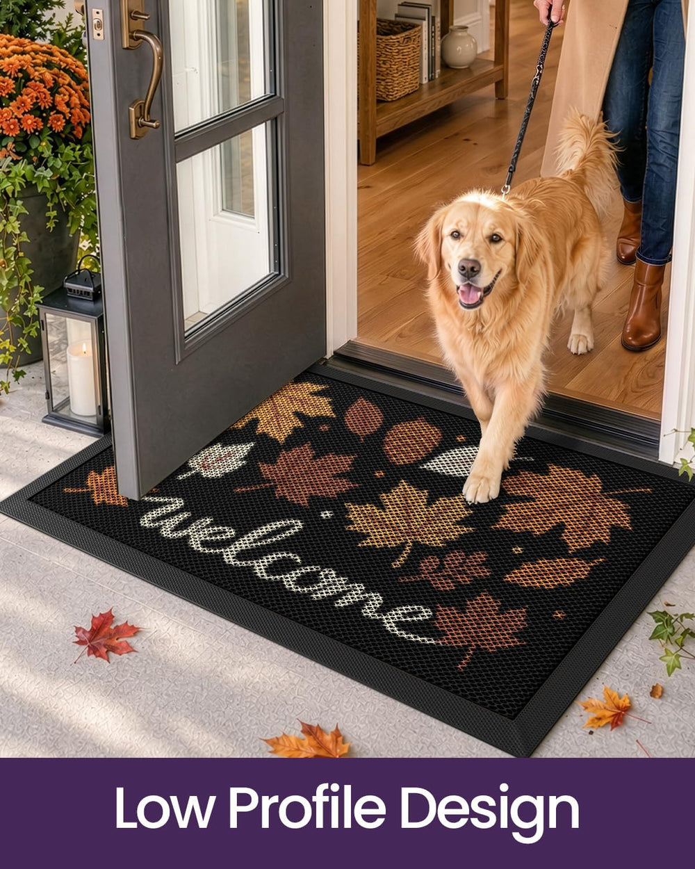 DEXI Fall Front Door Mat Outside Entrance, 24x36 Pinecone Maple Leaves