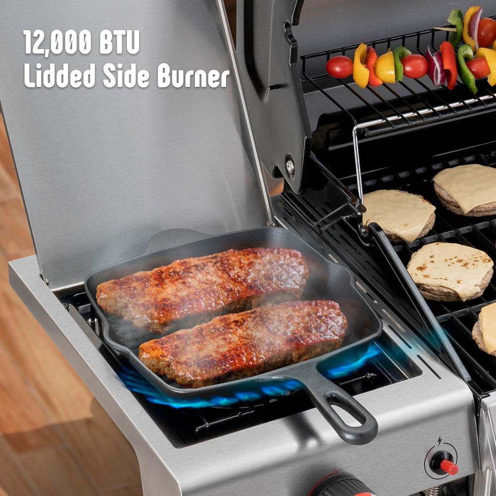 Feasto 4-Burner Propane Grill with Ceramic Burner Chamber & Side Burner