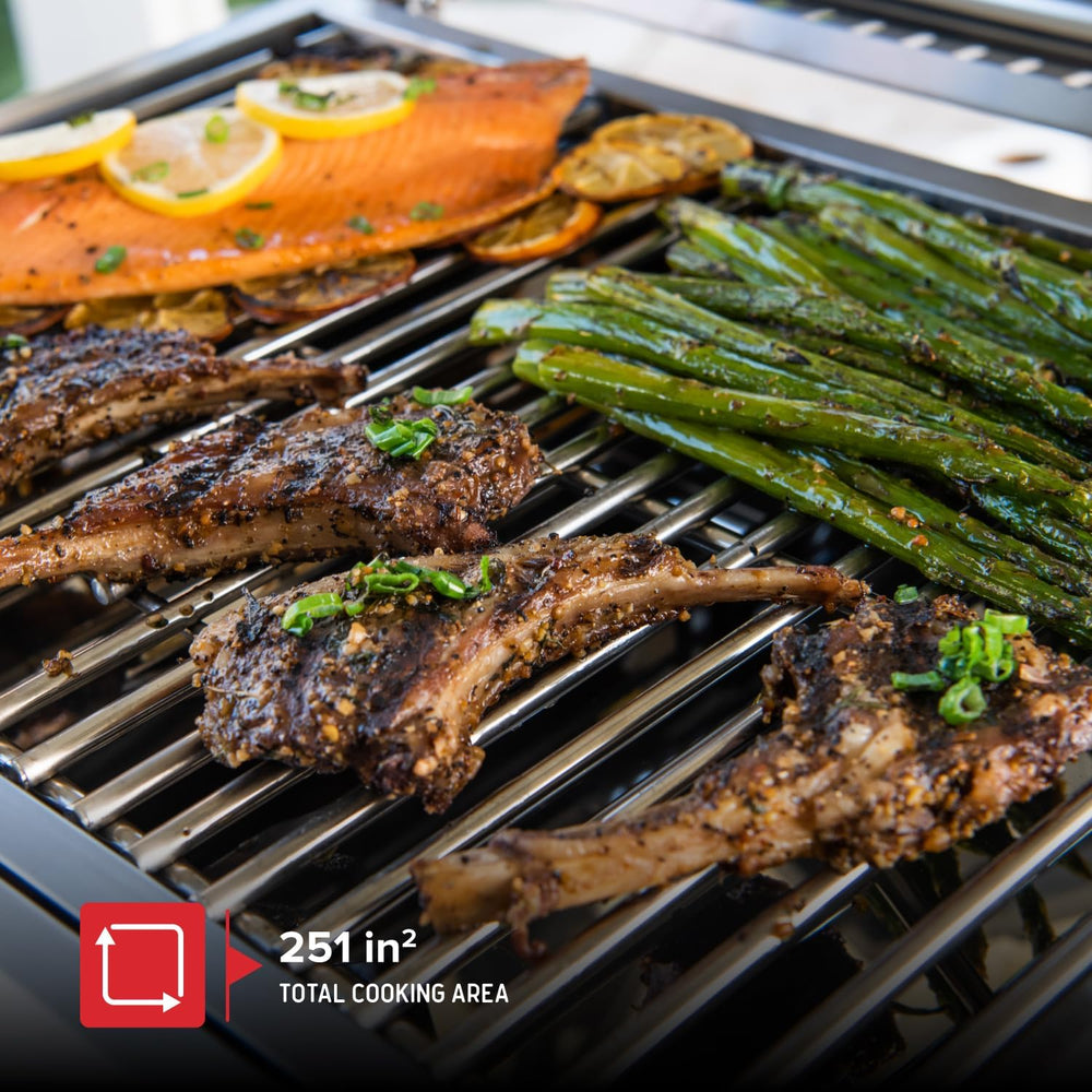 Nexgrill Tabletop 2 Burner Gas Grill, Stainless Steel with Folding Legs
