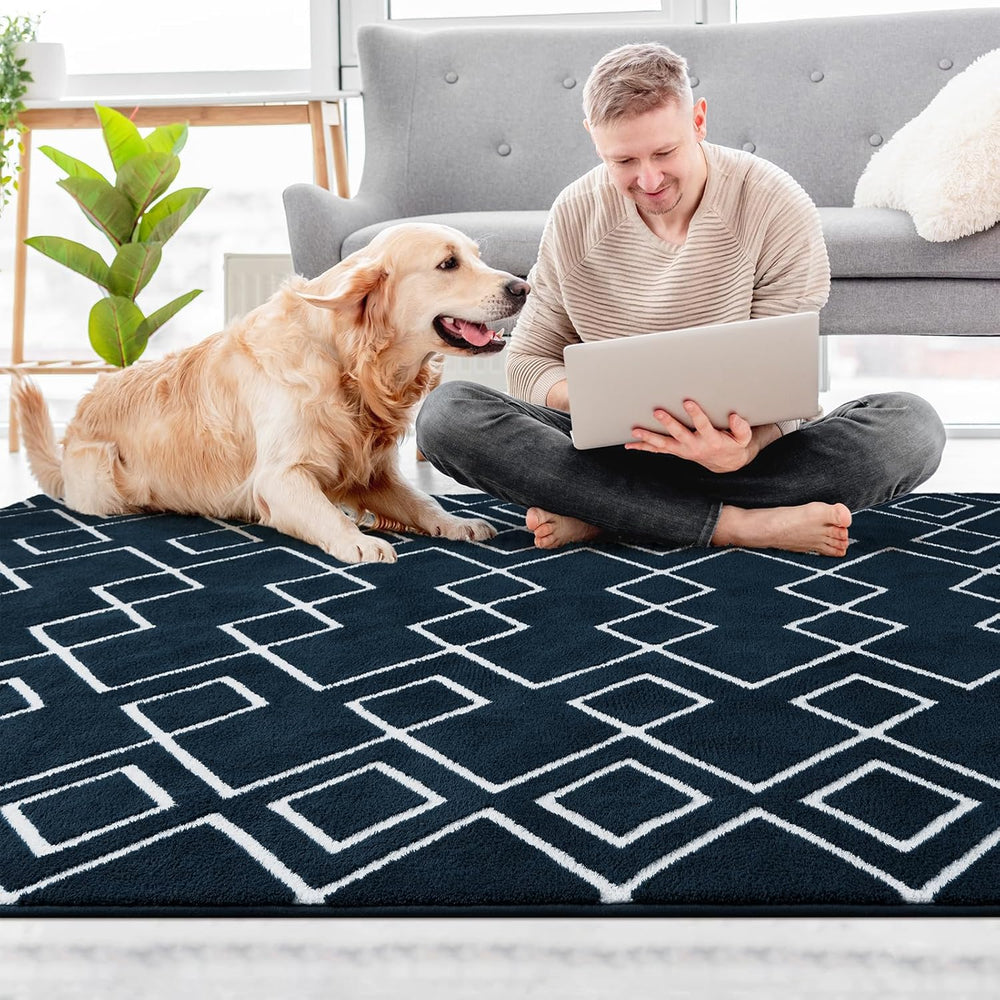 Soft Area Rug for Bedroom, 6x9Ft Moroccan Rugs for Living Room, Geometric Non...