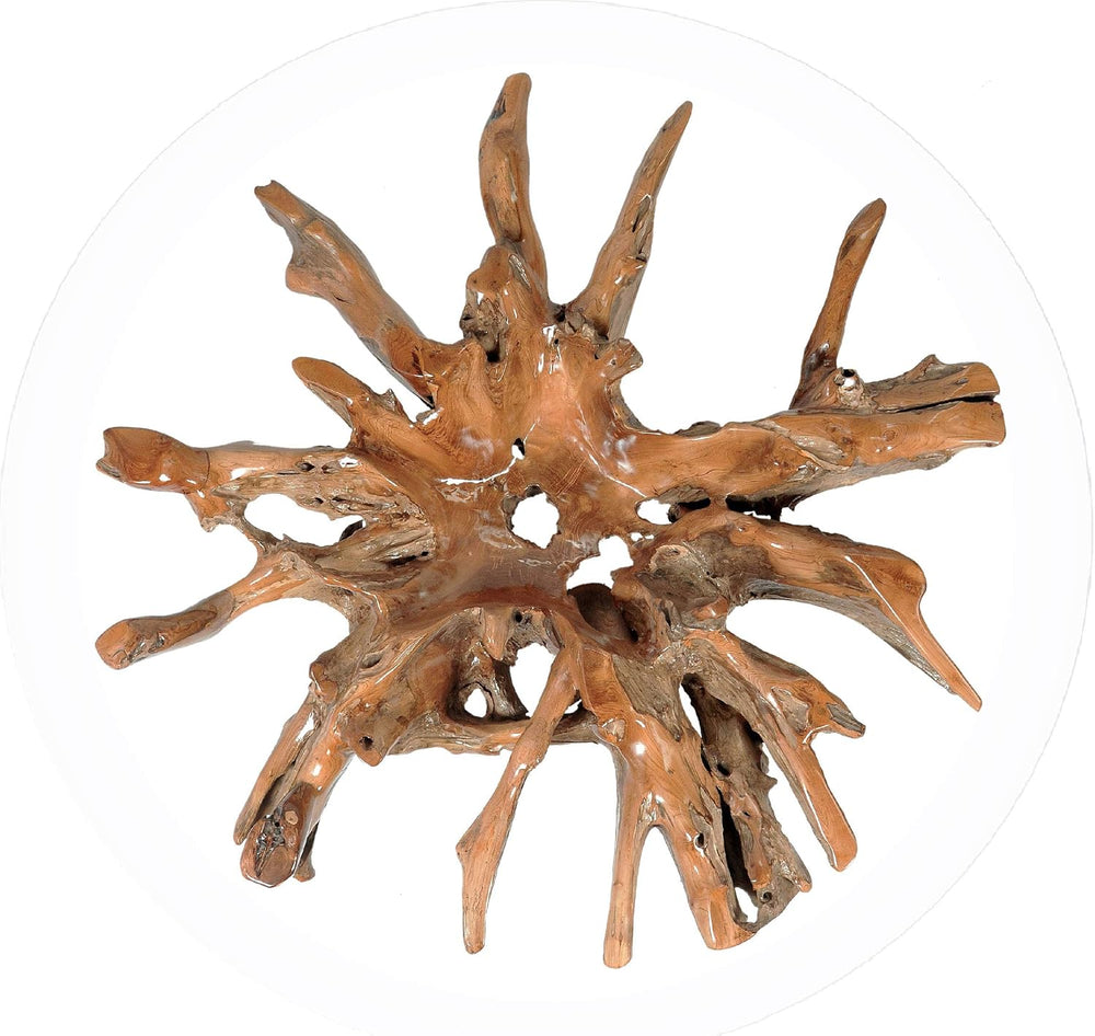 CHIC TEAK Genuine Teak Wood Root Coffee Table Including 55 Inch Round Glass T...