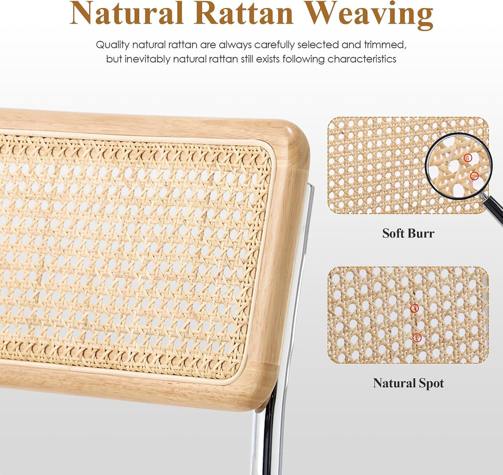 Rattan Cantilever Dining Chairs Set of 2, Boho Modern Dining Chairs with Ratt...
