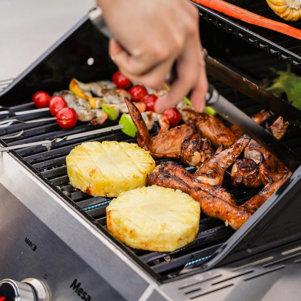 Monument Grills 2-Burner Stainless Steel Liquid Propane Gas Grill, Two Foldab...