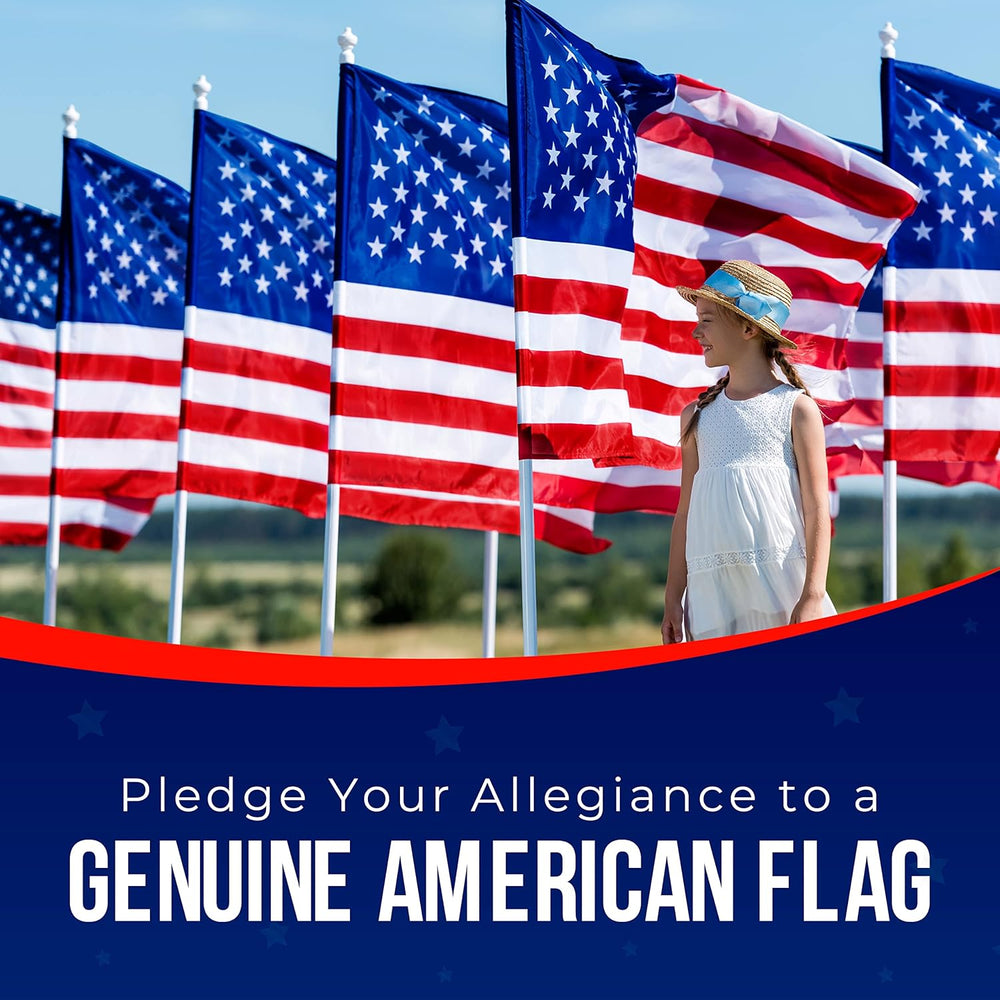 American Flag 4x6 for Outdoor Use | Made in USA-not imported Heavy-Duty Flag ...