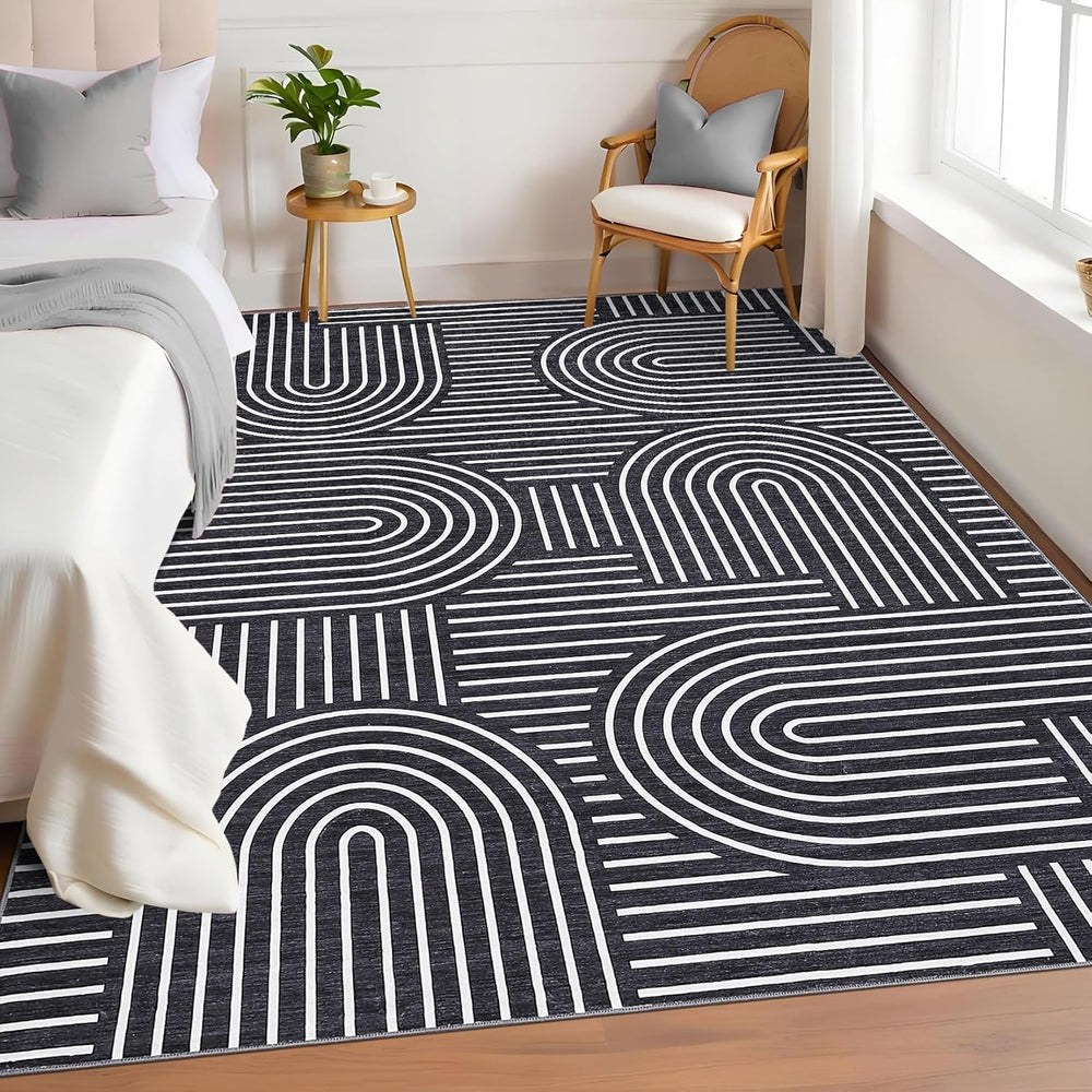 ROYHOME Modern Washable Rug 5x7 Area Rugs for Living Room Non Slip, Black