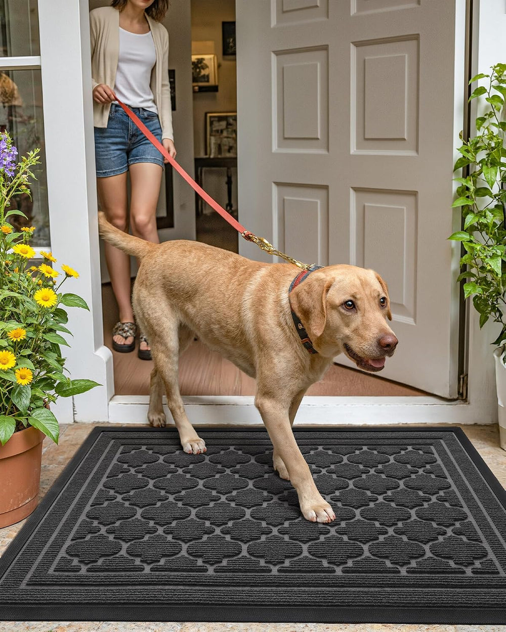 Color&Geometry Front Door Mat Outside Entrance, 24"x48" Heavy D...