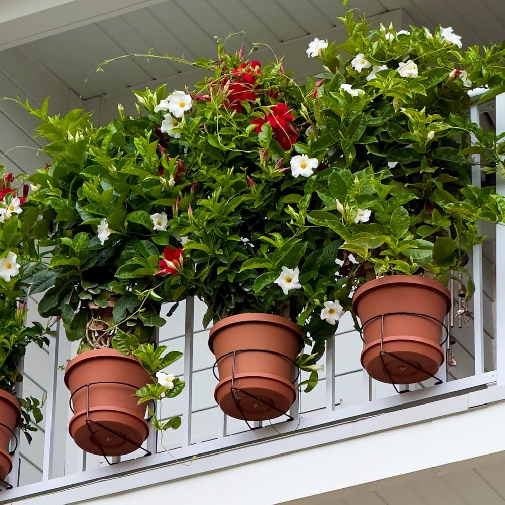 Bloem RailScapes Adjustable Floating Planter Hanger, Fits 0.5”-0.75” Balcony ...