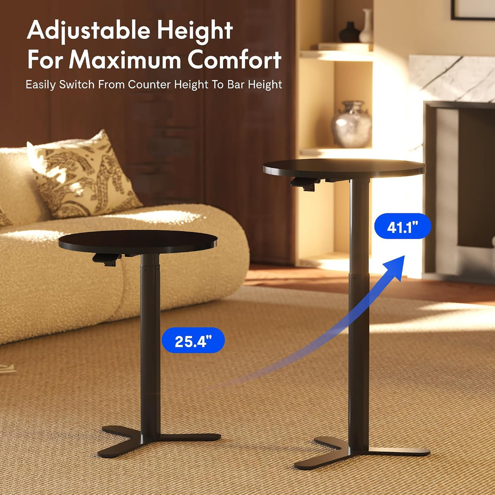 FLEXISPOT Gas Spring Lift Sit-to-Stand Table,20" Round Bar Table