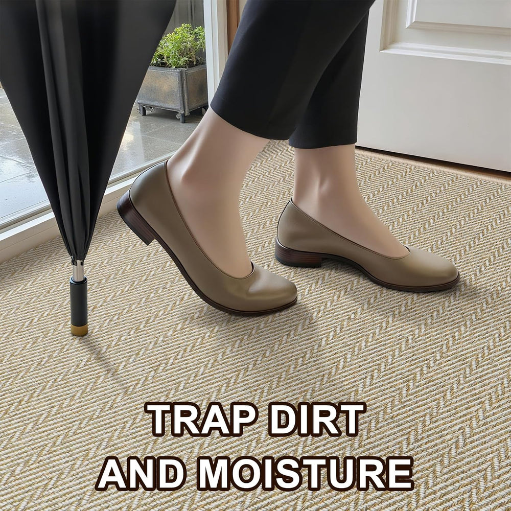 Ultra Thin Door Mat Indoor Entrance 36"x59", Low-Profile Indoor Doo...