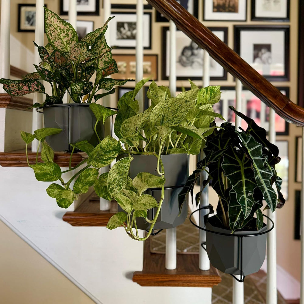Bloem RailScapes Adjustable Floating Planter Hanger, Fits 0.5”-0.75” Balcony ...