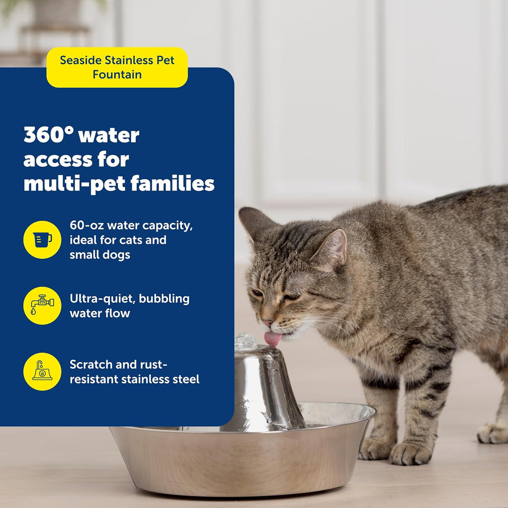 PetSafe Seaside Stainless Cat & Dog Fountain, 60 oz, 2 Filters & Pump