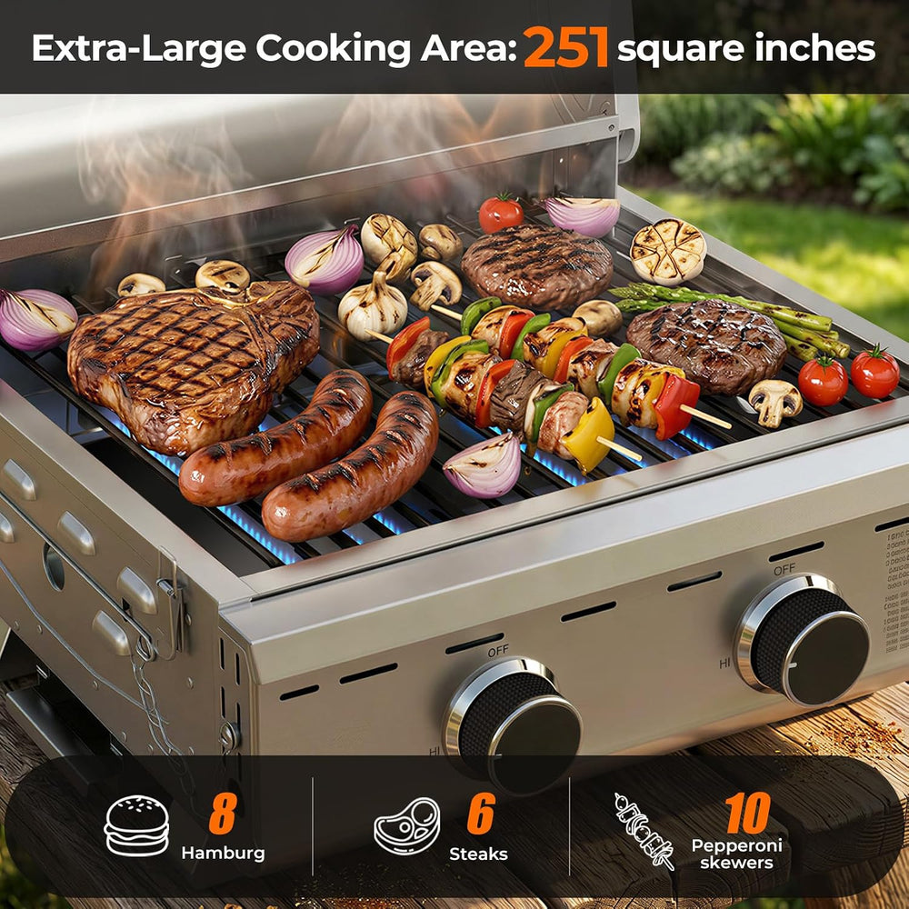 Electactic 20000 BTUs Portable Tabletop Gas Grill, 2 Burners Propane BBQ