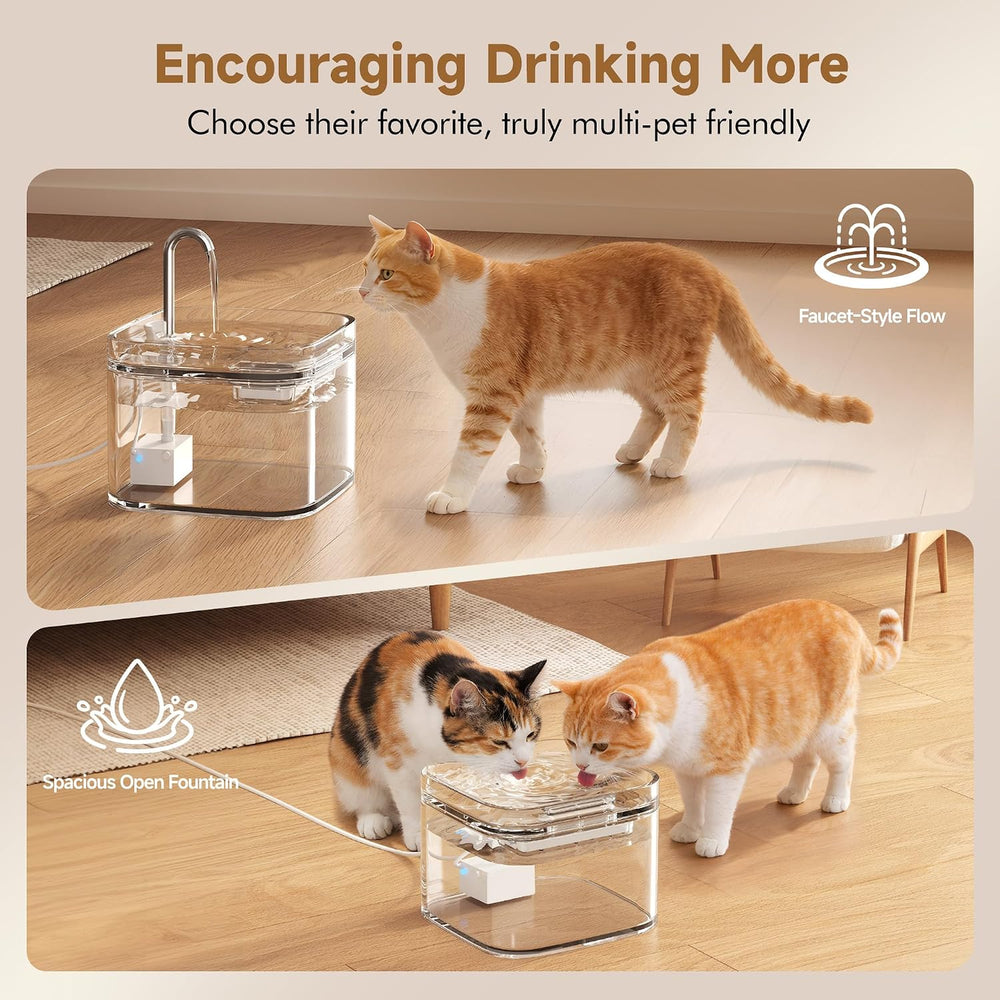 PETTEN Glass Cat Water Fountain,Easy Clean,No Plastic(78oz/2.5L)
