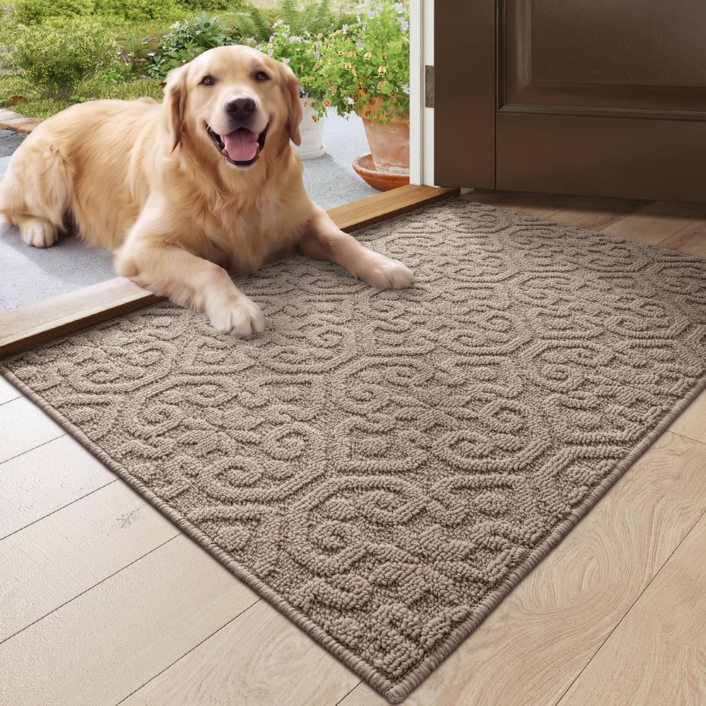 DEXI Front Door Mat Indoor Entrance, 24x36 Entryway Doormat, Beige