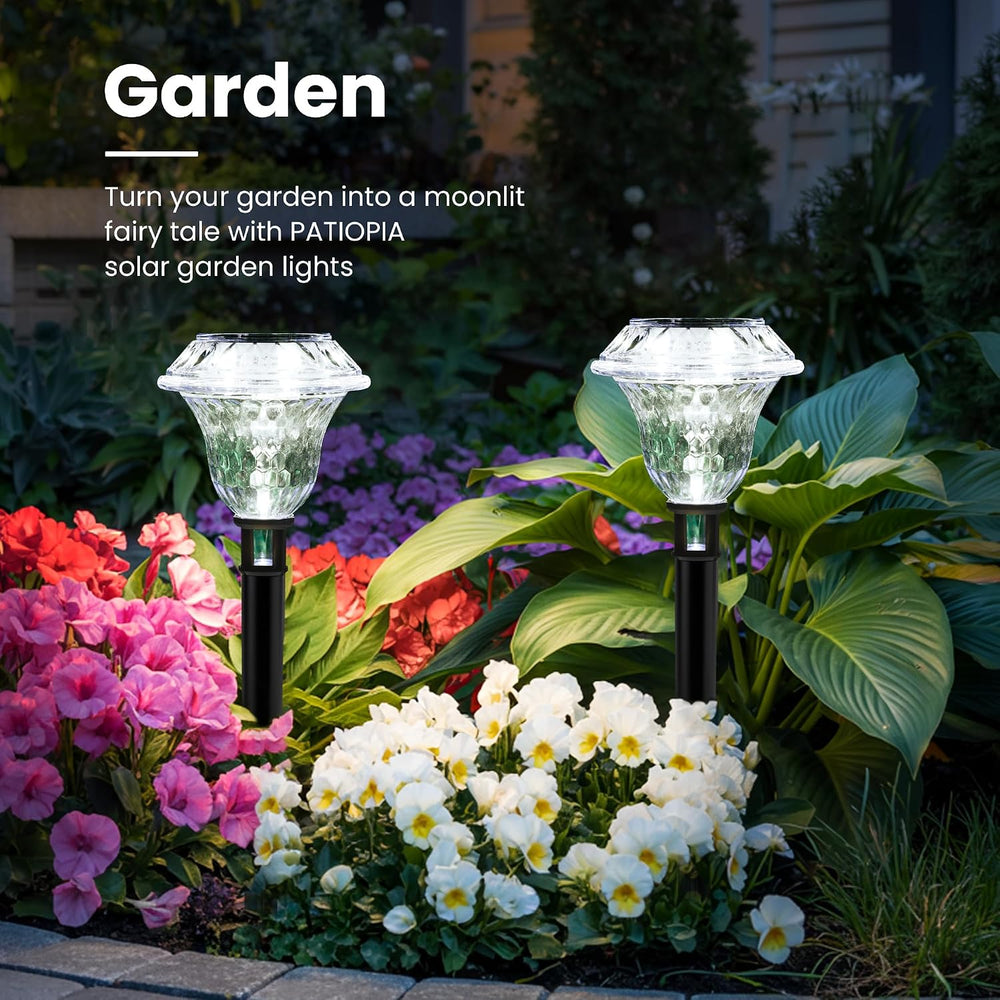 Solar Pathway Lights, Acrylic Garden Lights Outdoor Decor 6 Pack