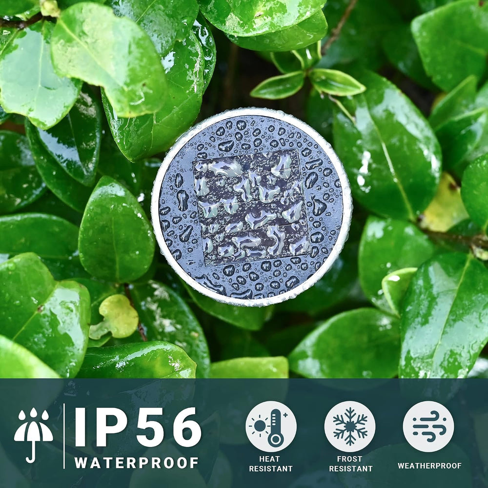 SOLPEX 24 Pack Solar Lights Outdoor, Stainless Steel Solar Pathway Lights