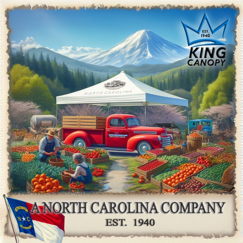 King Canopy Hercules 10-Feet by 20-Feet, 2-Inch Hammertone Steel Frame w/Butt...