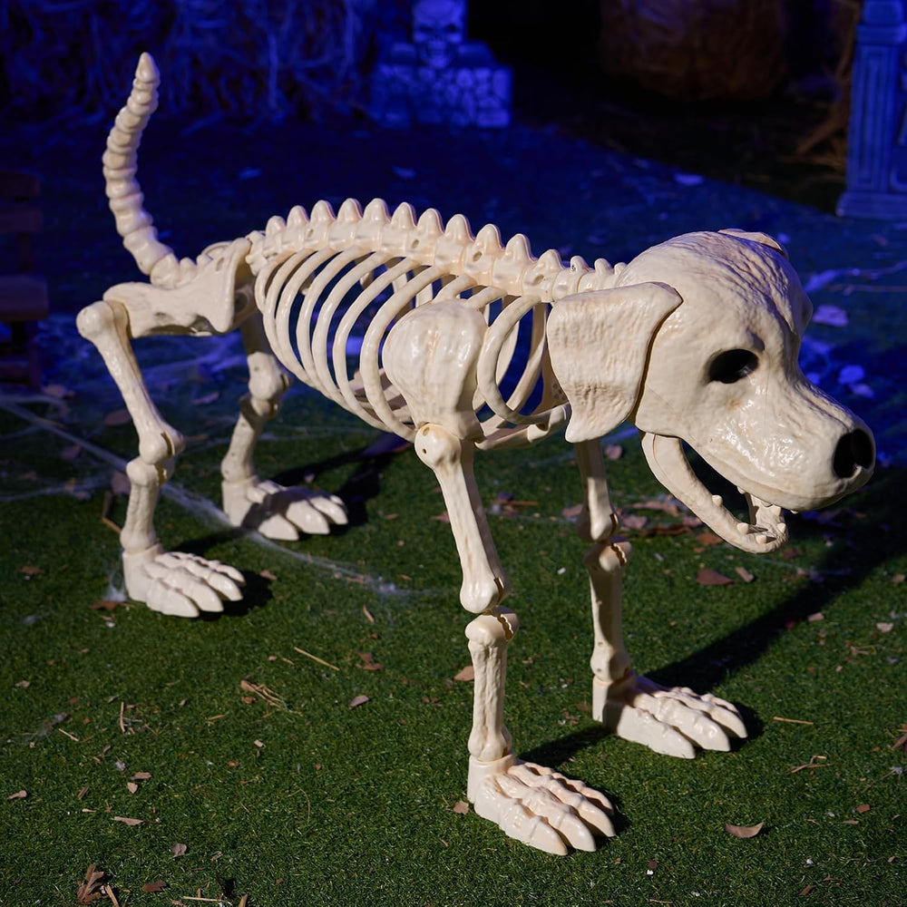 JOYIN Halloween Golden Retriever Skeleton 34” Animal Dog Plastic Skeleton wit...