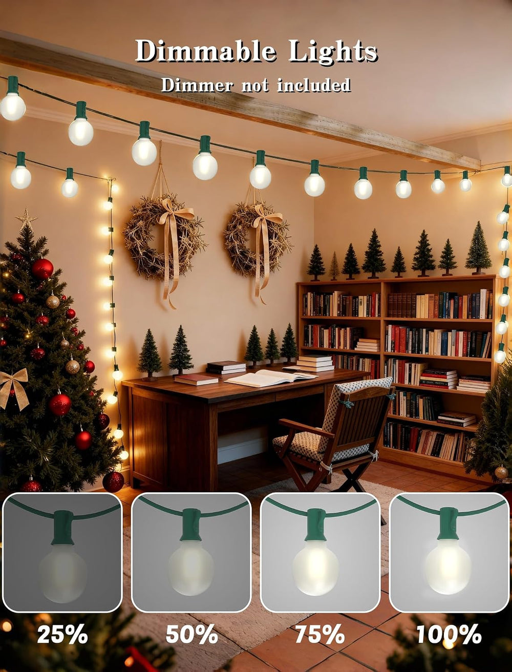 50FT G40 LED Christmas Lights with 27 LED Globe Frosted White Bulbs