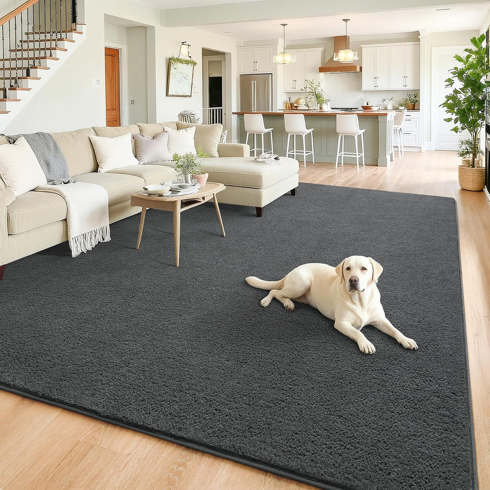 Chicrug 5x7 Minimalist Washable Soft Area Rugs for Bedroom Living Room