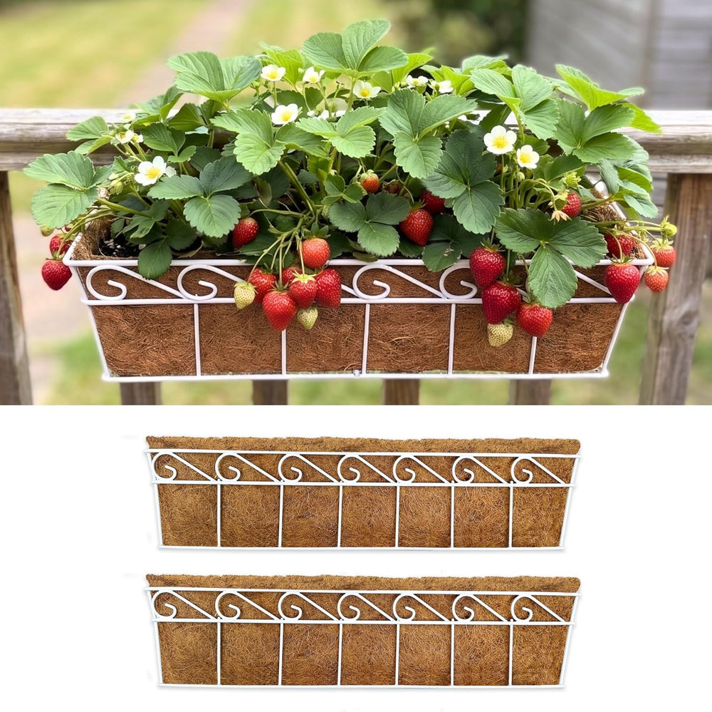 LaLaGreen Wall Mounted Planters (2 Pack, 30 Inch) Window Flower Boxes Basket ...