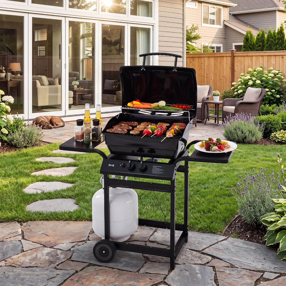 Feasto 2 Burner Propane Gas Grill for Outdoor Cooking and BBQ, Black