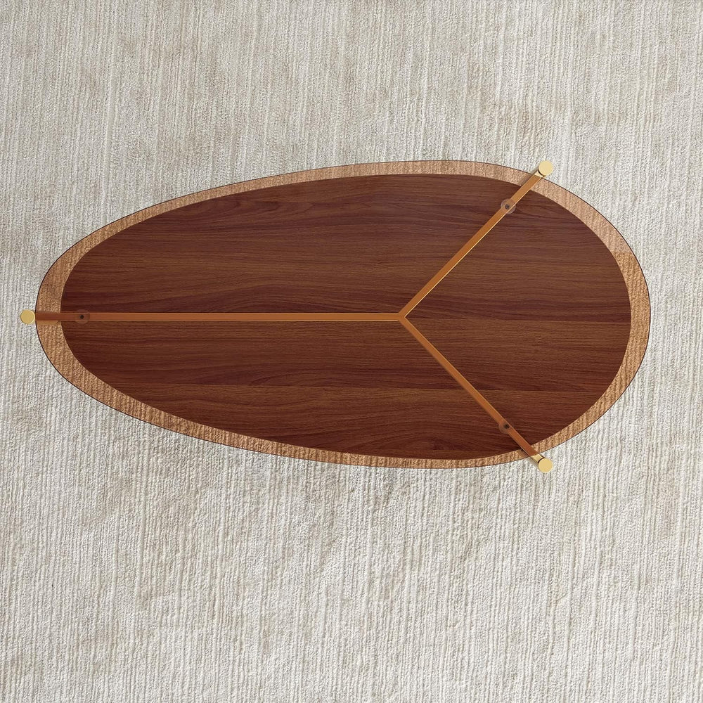 LumFurn Oval Glass Coffee Table, Mid-Century Modern Design, L43 x W21 x H17 i...