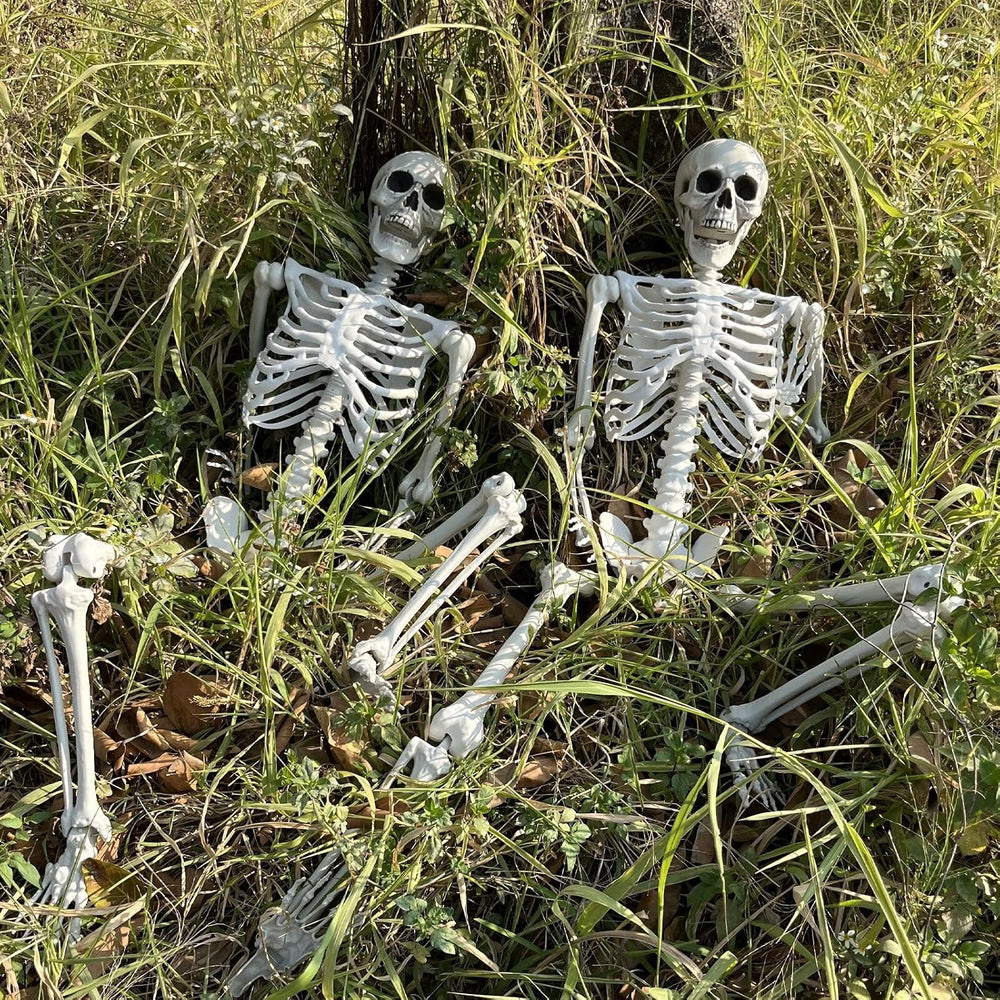 Wocst 5.4Ft/165cm Halloween Skeleton Full Body Life Size Human Bones with Mov...