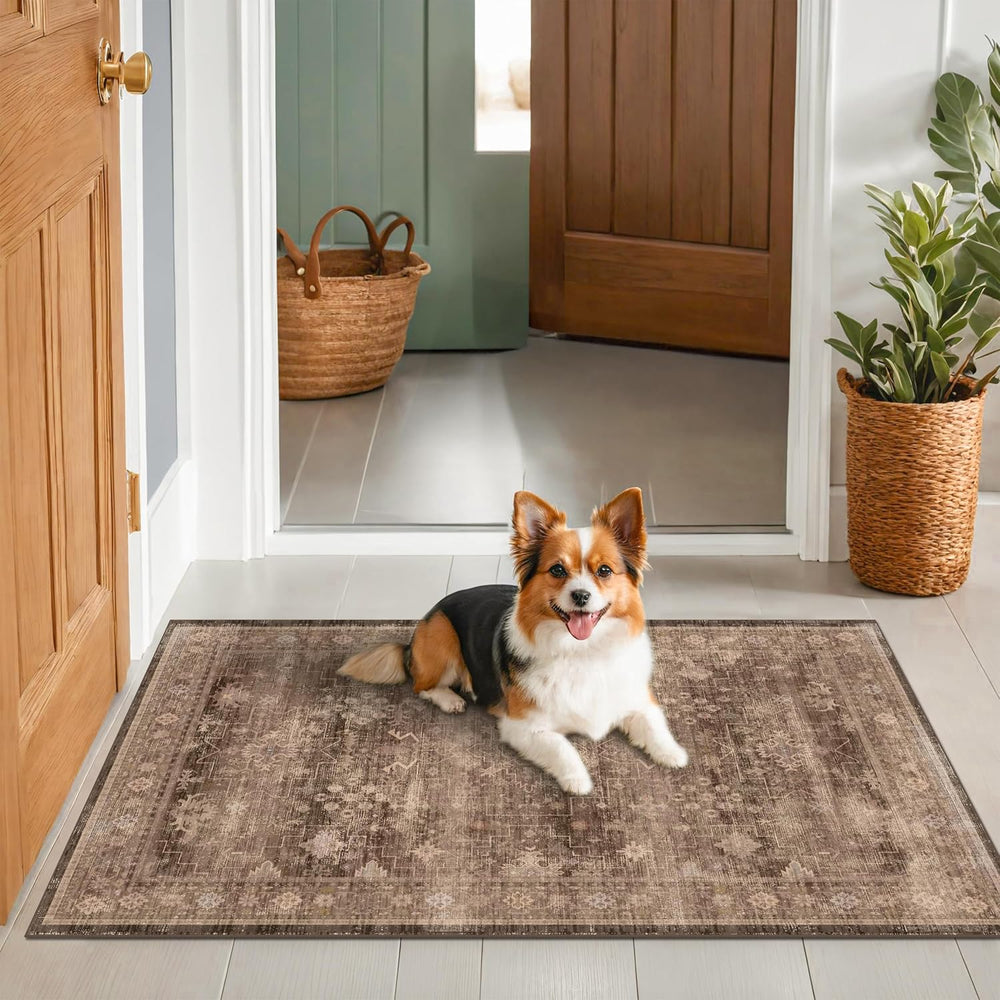 Boho Taupe Brown 3x5 Large Entryway Rug - Modern Vintage Traditional Eclectic...