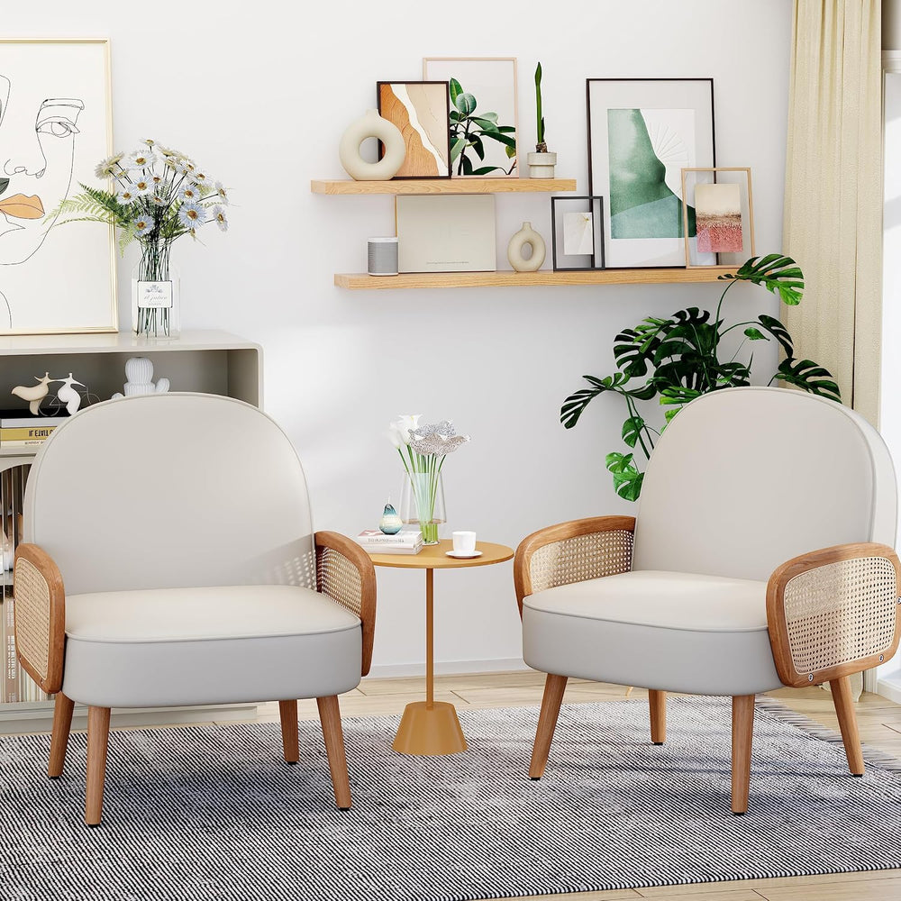 Aklaus Mid Century Modern Accent Chairs Set of 2 Upholstered Rattan Faux Leat...