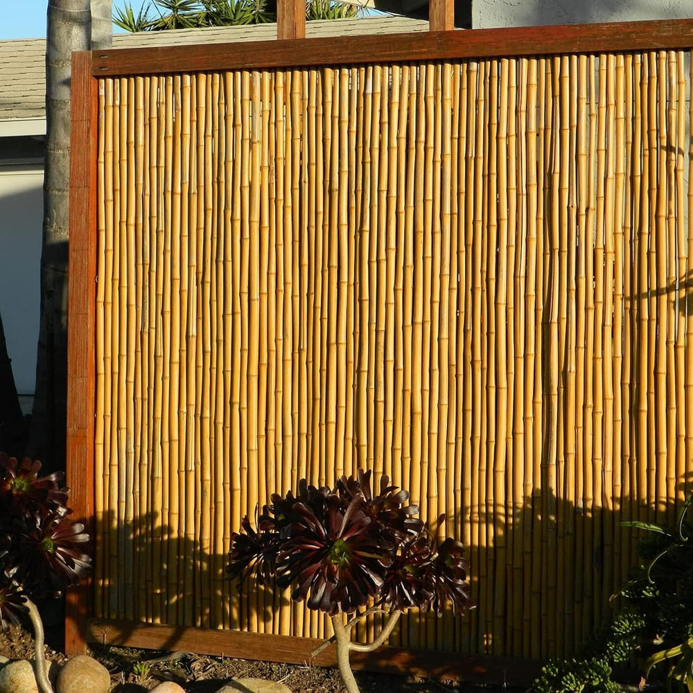 FOREVER BAMBOO Natural Bamboo Fencing Decorative Rolled Fence Panel 1 in D x ...